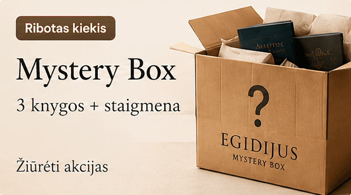 Knygų Mystery Box
